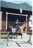Västgöta lekar på Forsviks bruk. Medeltida tävlingar 25 augusti 2001. Hästburen riddare i svart