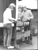 Böcklingtillverkning.