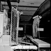  Sågverksarbetare. Ncb:s sågverk i Dynäs? Fotograf: Ture Lidbom