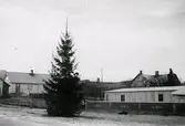 Bybebyggelse. Bild från Träslövsläge. Storgatan vid hamnen. Julgranen på plats. Uppgifter i övrigt saknas.
Tillhör samlingen med fotokopior från Hallands Nyheter som är från 1930-1940-talen.