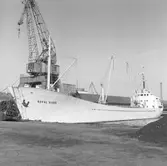 Fartyget Royal Wood vid kaj

