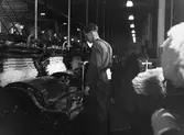 En man arbetar vid rensmaskinen för bomull. Nääs fabrik i Tollered.