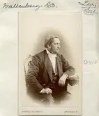André Oscar Wallenberg (1816-1886)