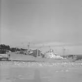 Fartyget Dalhem vid kaj
