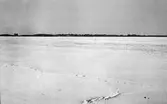 Vy över isbelagt hav, troligen mot Getterön. En öppen ränna går tvärs över isen.