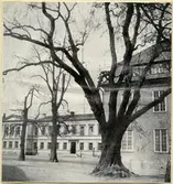 Västerås Kyrkbacken, kv Domkyrkan.
Exteriör av Rudbeckianska skolan - Högre Allmänna Läroverket.