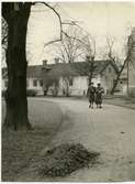 Västerås, Centrum, kv. Dominikanklostret.
Vasaparken på 1940-talet.