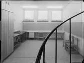 BARNPSYPATISKA KLINIKEN