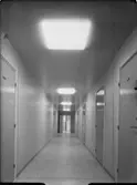 BARNPSYPATISKA KLINIKEN