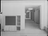 BARNPSYPATISKA KLINIKEN
