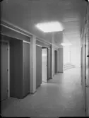 BARNPSYPATISKA KLINIKEN
