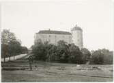 Vy över Uppsala slott från söder
