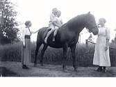 Två barn rider barbacka på en häst. Bredvid står två kvinnor, varav någon eller båda förmodligen heter Alm. Haby i Örby, Marks kn. (Se även bild MR2_1427)