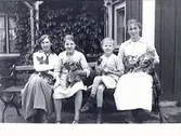 Två äldre och två yngre flickor på en bänk vid ett bostadshus. I knät har dom hundar och katter. Namnet Alm är angett till fotografiet. Haby i Örby, Skene. (Se även bild MR2_1384)