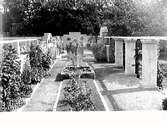 Trädgården till Gerlachska villan som bär en italiensk, strikt prägel med pelargångar, hög mur och i mitten en liten damm med fontän. Bilden tagen från väster.
