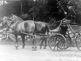 August Bengtsson sitter på kuskbocken i en vagn som dras av ett par hästar. Kusken håller i en lång piska. Längs vägen löper en stenmur.