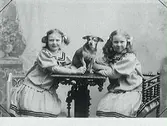 Barnporträtt. Flickorna Algren med en liten hund som sitter på bordet mellan flickorna.