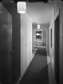 FÄRG- OCH SVARTVITFOTOGR. AV MÖBL. LÄG. KALMAR - HÄLSINGBORG
