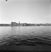 KVARNEN TRE KRONOR FRÅN DJURGÅRDEN
EXT.