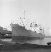 Fartyget Sarek vid kaj

