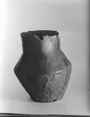 LERKRUS FRÅN STENÅLDERN