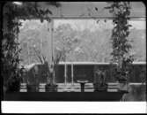 BLOMFÖNSTER OCH BADRUMSINT.
INT.