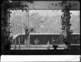 BLOMFÖNSTER OCH BADRUMSINT.
INT.