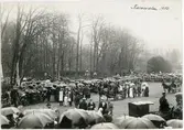 Karneval, Uppsala 1900
