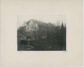 Skytteanska trädgården, Uppsala