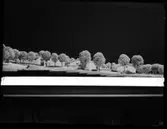 ÅLDERDOMSHEM I HORRED
MODELL