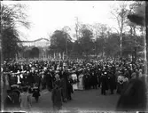 Folksamling i Botaniska trädgården, Uppsala