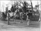 Ryttare med häst och män som blåser i horn, Carolinaparken, Uppsala