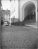 Skytteanum och Domtrapphuset, Valvgatan, Uppsala