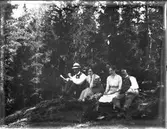 Paus i skogen, Sätra brunn, Sala