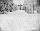 Slottsparken mot slottet, Uppsala
