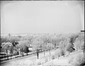 Vy från Uppsala slotts borggård, Uppsala