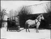 Två män i släde bakom häst, Uppland 1909