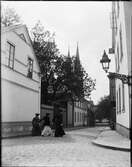 Uppsala 1905