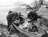 Fiskare med fångst, 1930-tal