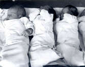 Nyfödda barn i gemensam säng på väg till mammorna på storsal.