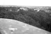 Vy från slottstaket mot sydost, 1943