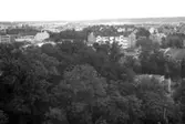 Vy från slottstaket mot sydost, 1943