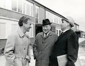 Vandring i Vivalla centrum, 1968