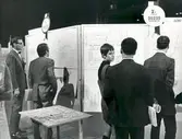 Besökare ser Karlslundstävlingen, 1969