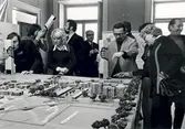 Modell till Karlslundstävlingen, 1969