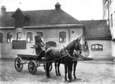 Kusk med hästar och vagn, 1916