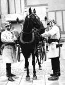 Brandmän med häst, 1966