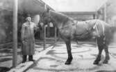 Brandman med häst, ca 1910