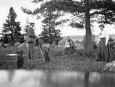 Fotografering i naturen, 1906