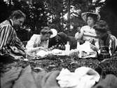 Picknick i lingonskogen, 1906